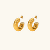 Ximena Chunky Earrings