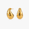 Sparkling Teardrop Earrings
